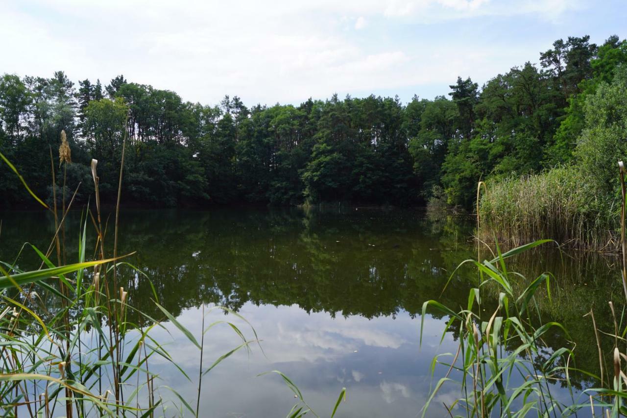 Ferienwohnung Rehagen Süd Am Mellensee Exterior foto