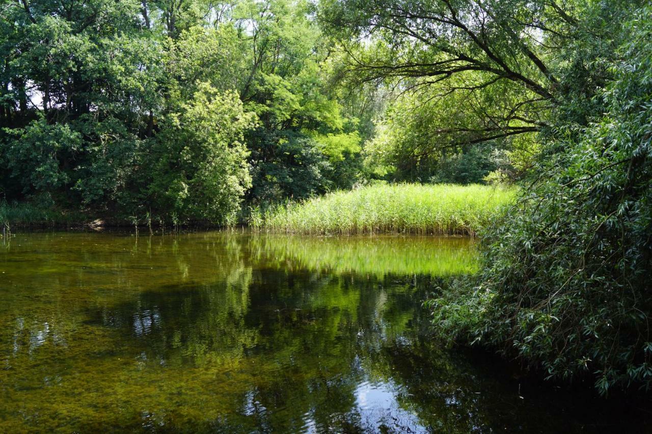 Ferienwohnung Rehagen Süd Am Mellensee Exterior foto